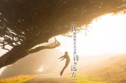 开云体育入口-沙漠与群山之间的逆转，2026世界杯H组，斯洛伐克如何用钢铁意志完成对伊朗的致命一击