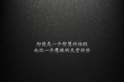开云体育app-逆转之夜，星条旗升起，当德容的魔法遇上美国队的钢铁意志