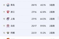 开云体育平台APP-篮球赛季收官，冠军榜单揭晓