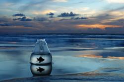 开云体育中国-联合杯轻取法网，当蒂姆的焰火照亮国家主义的网球天空