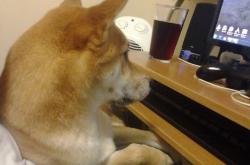 开云体育APP下载-秩序裂变，当阿斯顿马丁以智慧之刃刺破红牛的天空