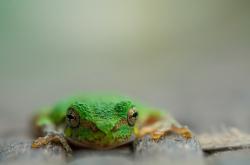 开云体育登录-唯一性时刻，一场不可能的绝杀，胡金秋如何打破次元壁惊艳篮球世界