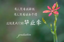 开云体育平台APP-欧冠决赛焦点战，马赛逆袭埋葬切尔西王朝梦