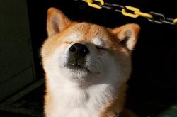 开云体育登录-狂胜之夜，从失意尖兵到关键先生，塔图姆如何完成自我救赎？