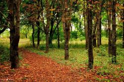 开云体育在线-英雄主义与逆袭神话，迪巴拉闪耀时，哥斯达黎加如何让瑞士时钟停摆？