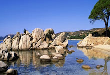 开云体育APP下载-阿斯顿马丁完胜红牛车队，塞恩斯惊艳四座