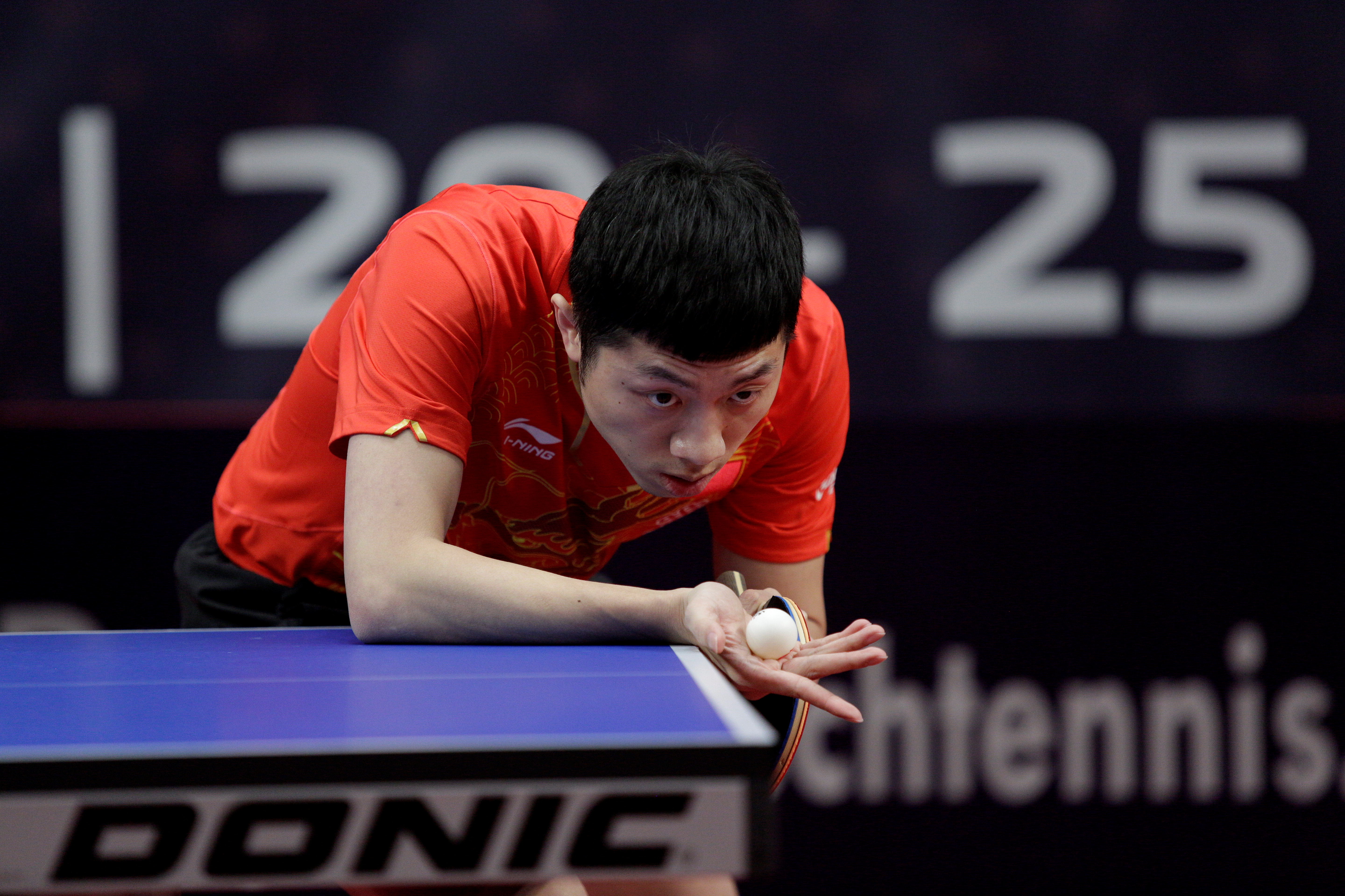 包含日本乒乓球队强势德国乒乓球队，许昕高光表现的词条