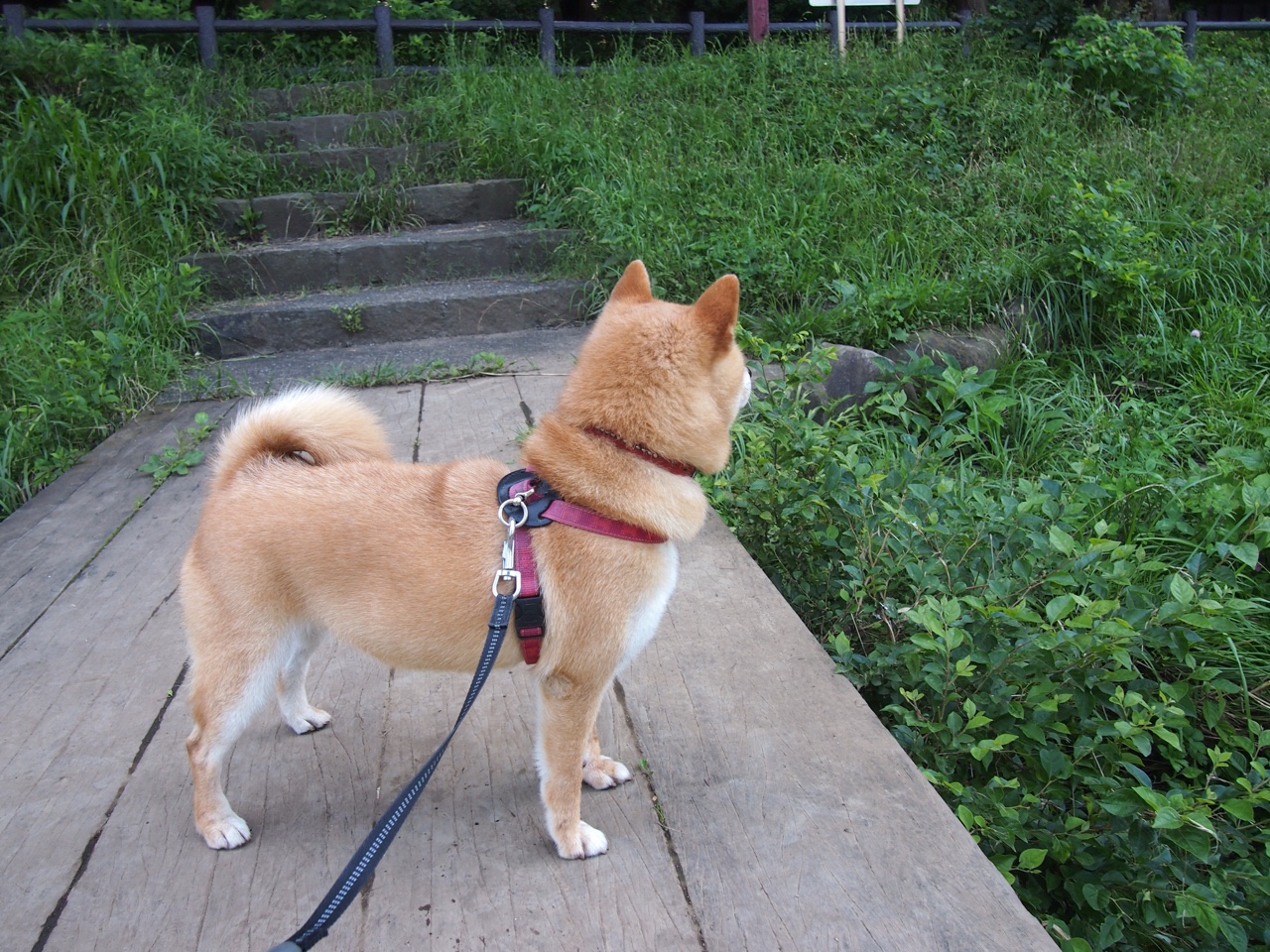 宿敌之血与新王加冕，那记改写历史的割喉绝杀