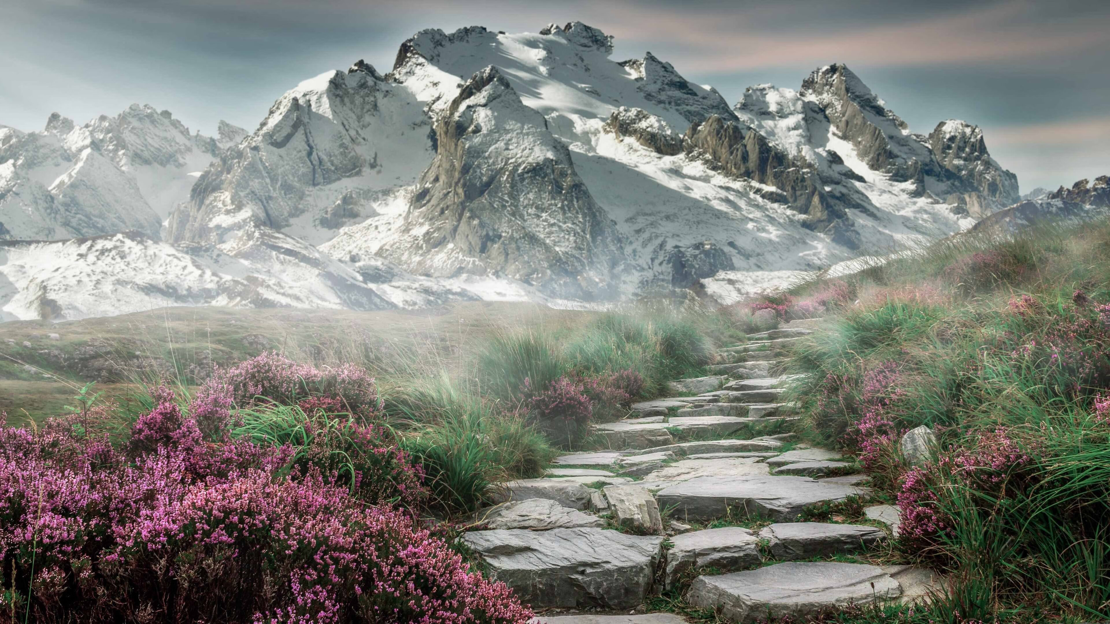 萨拉赫的左脚，点燃了1200公里外的德甲冠军归属