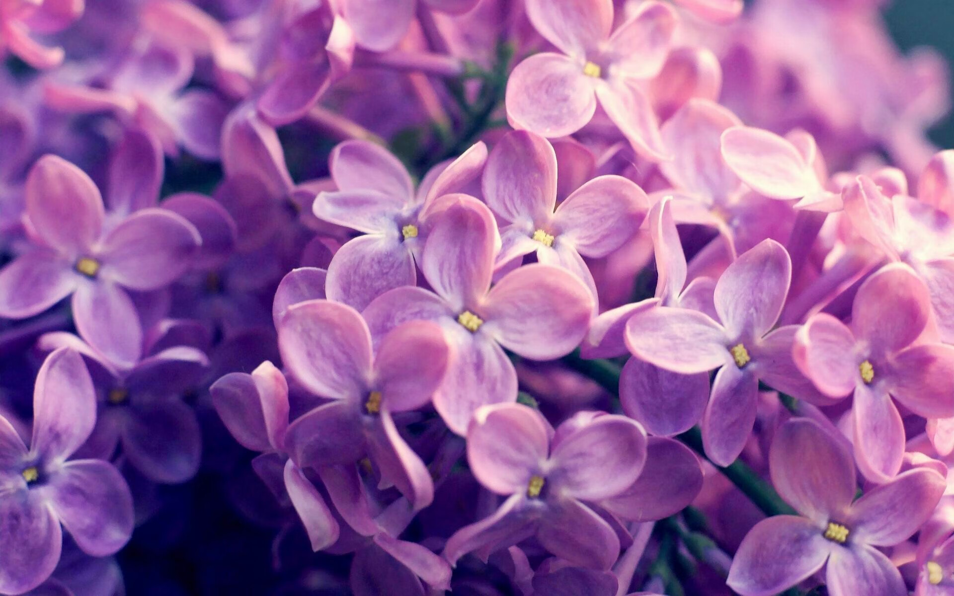 德罗赞52分难救主!广厦跨界对决冰封公牛