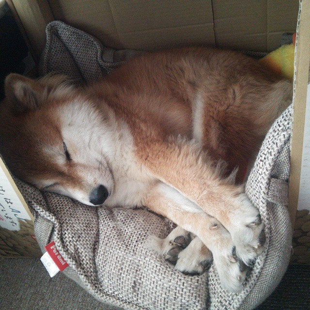 跨界绞杀，当巴萨的三分雨浇灭摩洛哥黑马神话