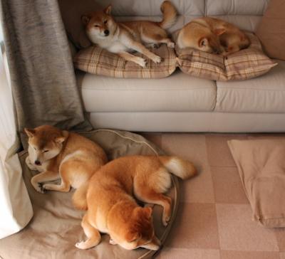 战术棋局,摩纳哥如何用一场非典型胜利,在欧洲心脏完成对马竞的思维压制?