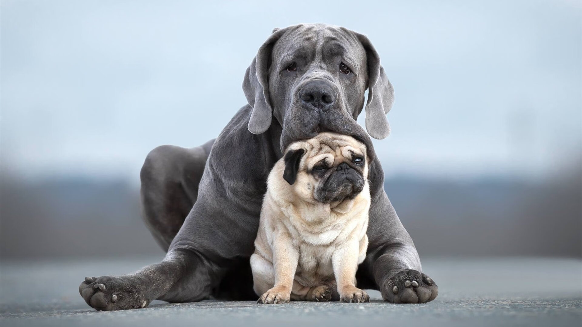 生死一瞬,西亚卡姆展翅,老鹰啄碎爵士逆转神话