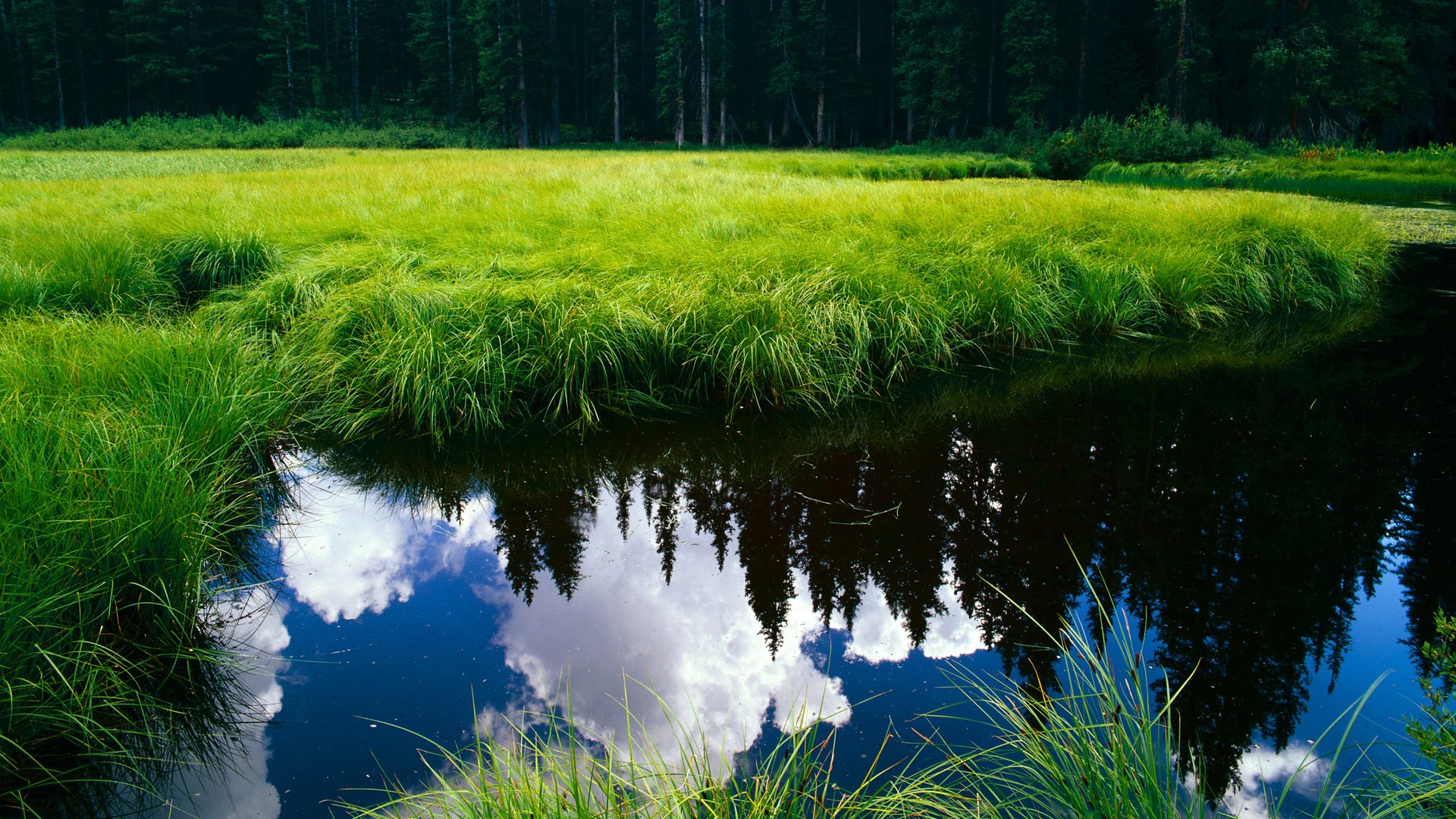 寒流与桑巴的炽热交响,芬兰关键战突围卡塔尔,内马尔成为关键先生