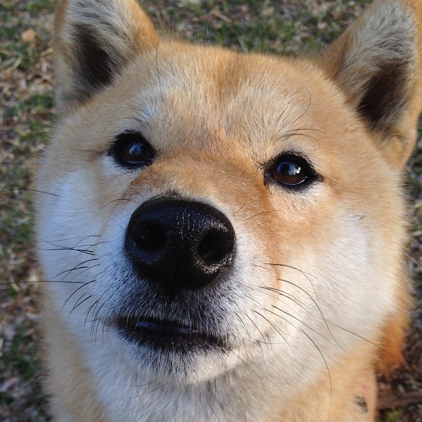最后七分钟,无人认识的替补成了整个英超的上帝