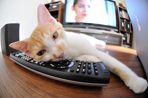 当丹佛高原的风吹进深圳湾，一场不可能的对决与存在感拉满的约基奇