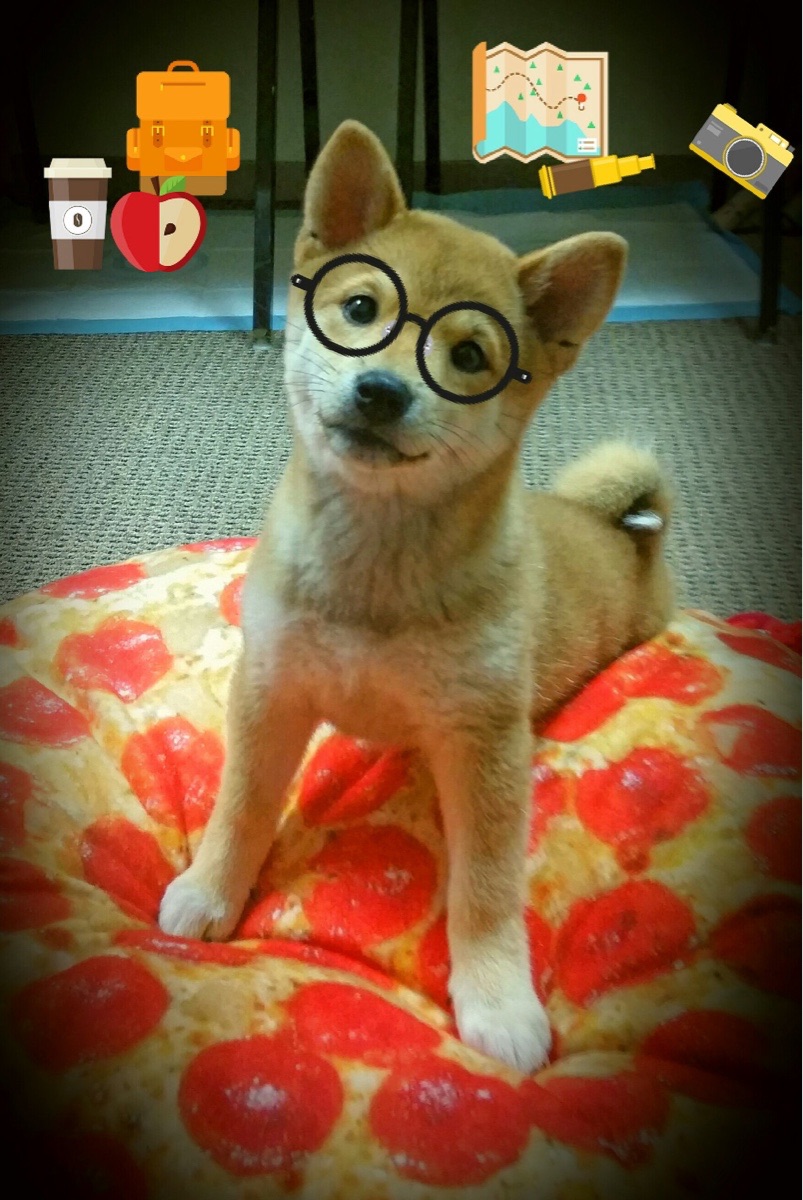 永恒之城怒涛！罗马欧冠奇迹夜，一波流带走巴西巨星军团