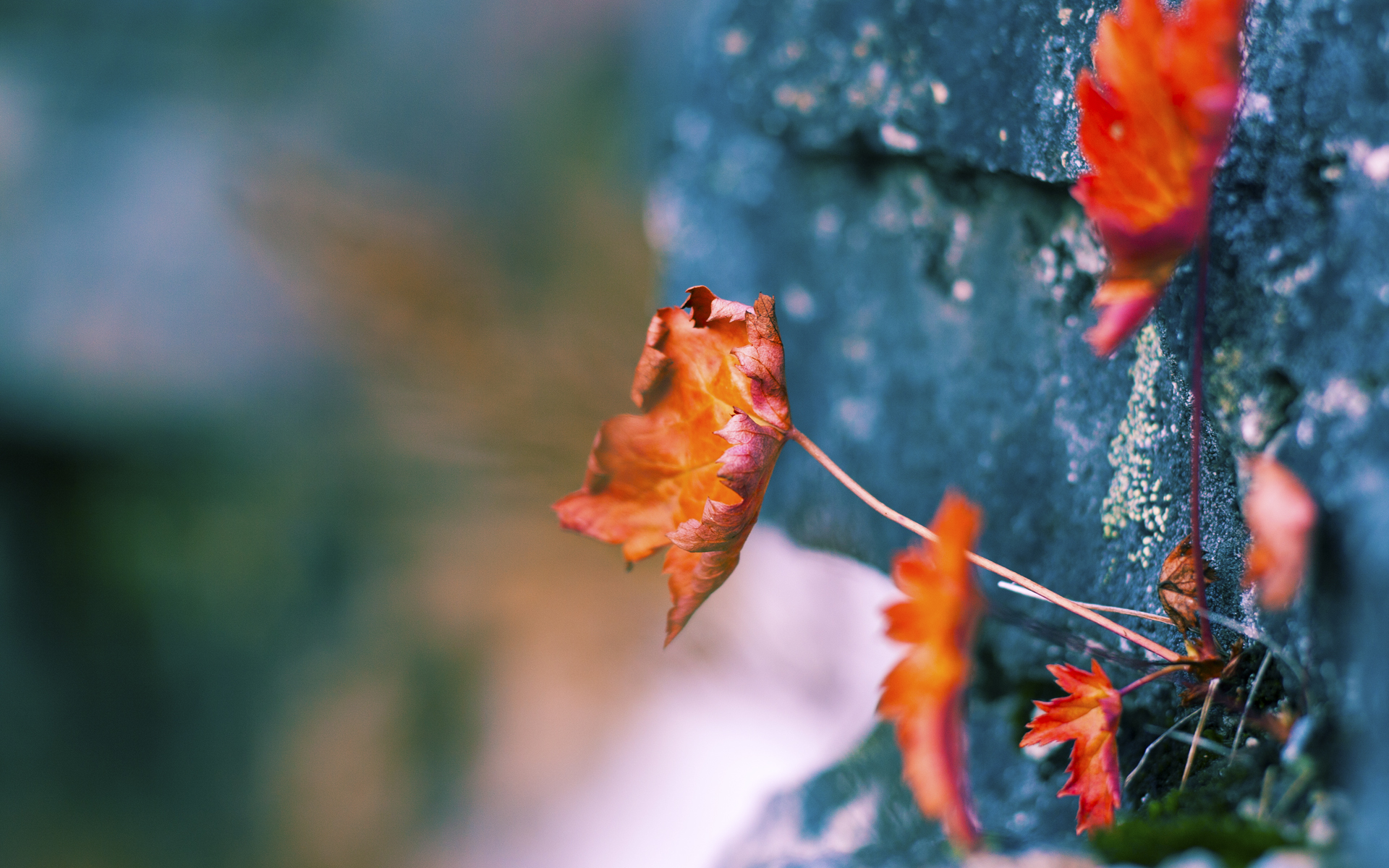 淬火之刃，基耶萨一锤定音，巴萨战术手术刀完美肢解阿森纳