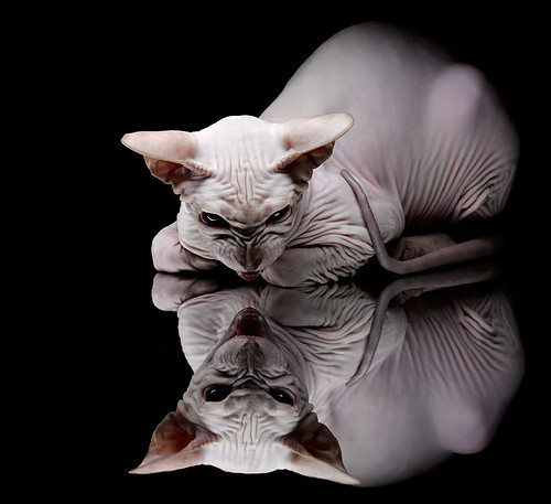 恩比德复出主宰赛场！活塞116，113马刺，惊险胜利背后的孤星闪耀