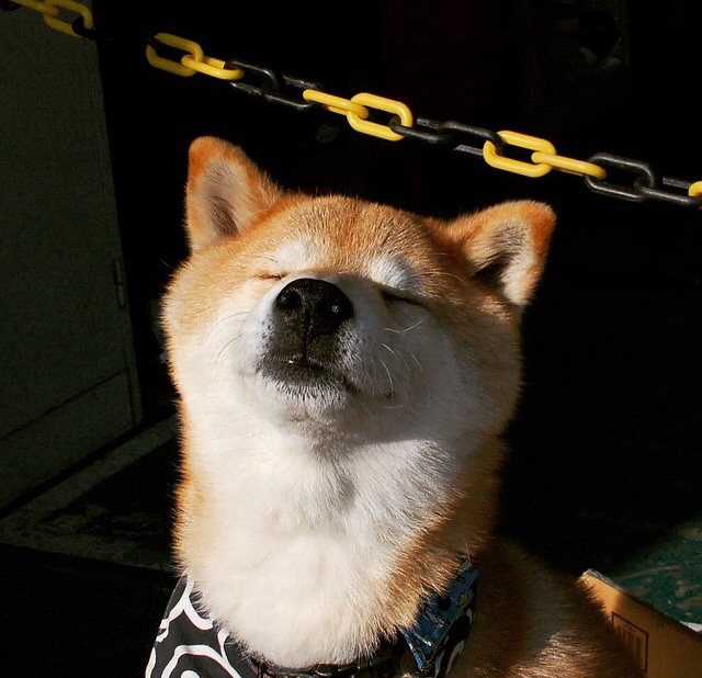 狂胜之夜，从失意尖兵到关键先生，塔图姆如何完成自我救赎？