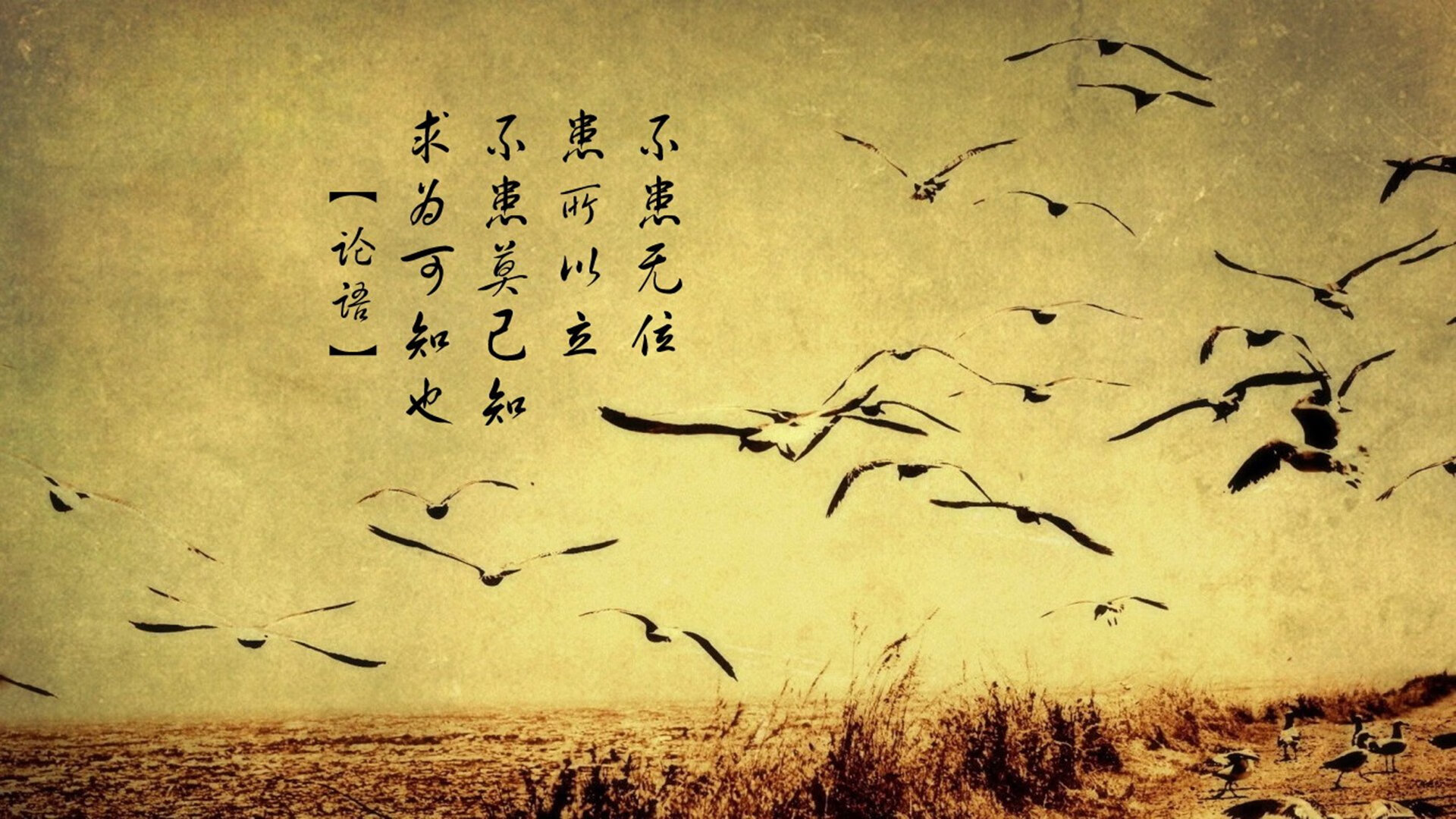 夜幕下的绝杀传奇，马竞压哨神迹击碎尤文主场神话