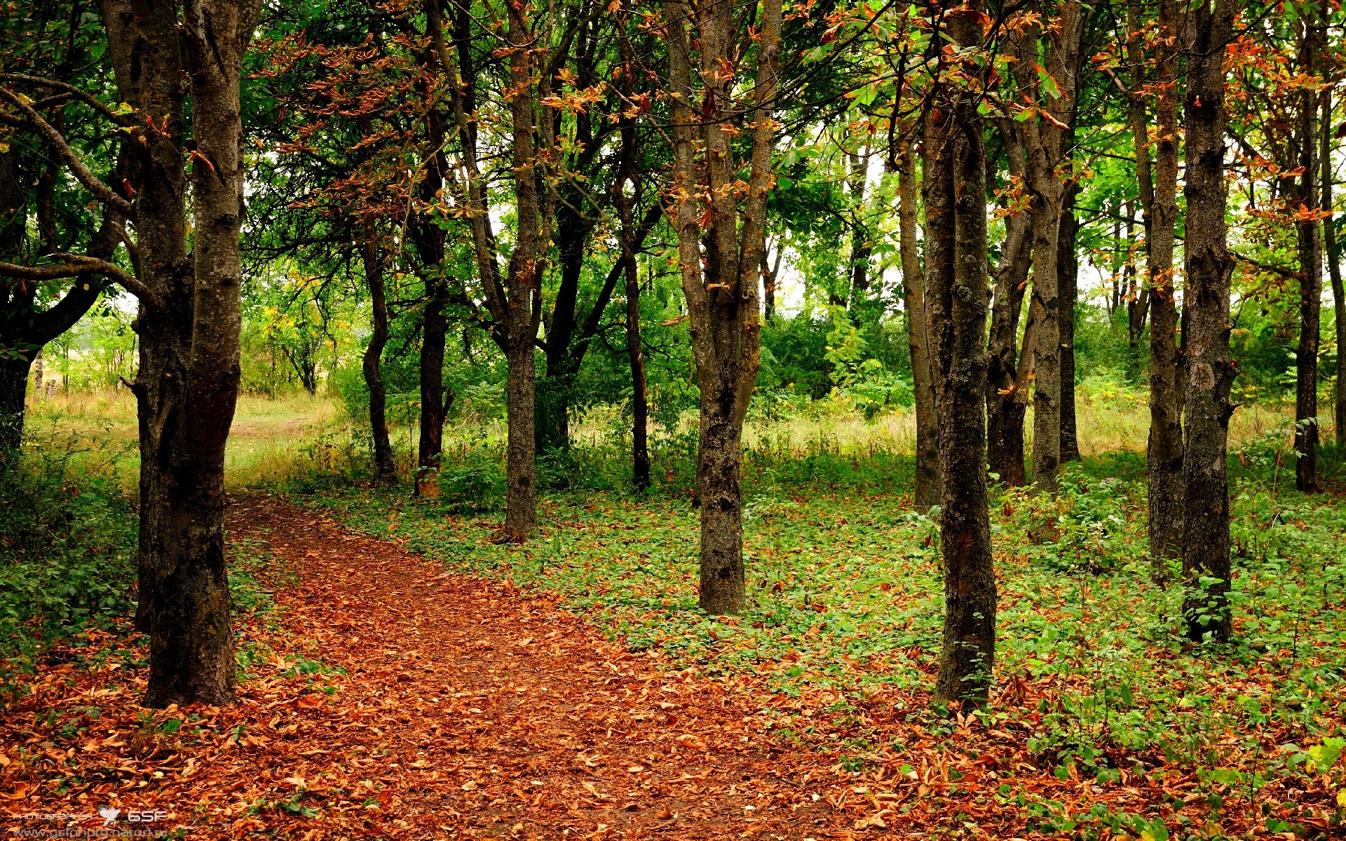 英雄主义与逆袭神话，迪巴拉闪耀时，哥斯达黎加如何让瑞士时钟停摆？