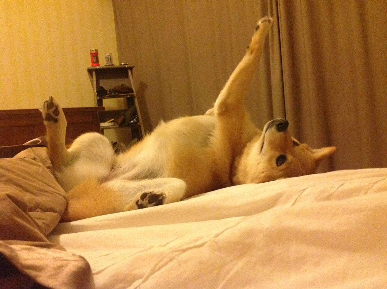 北欧寒流袭卷花都，法比尼奥生涯之夜助瑞典黑马强行终结巴黎霸权