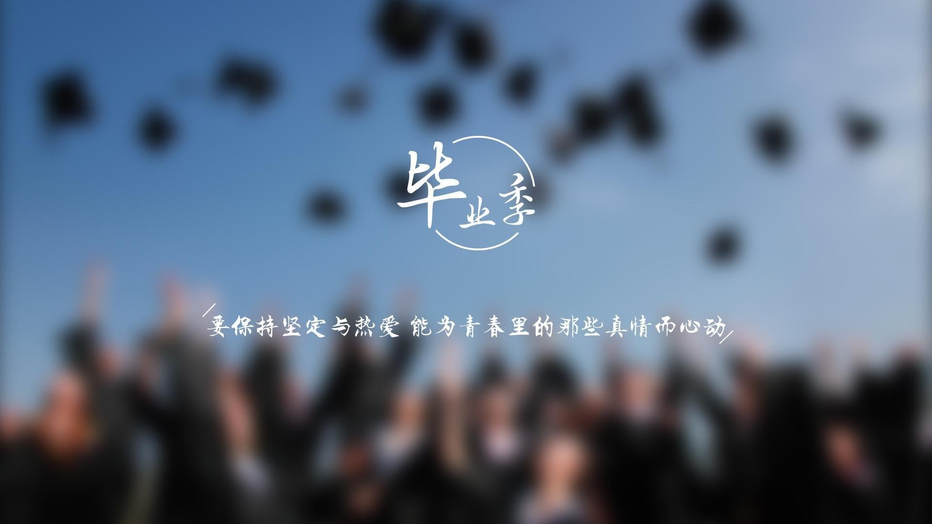 逆转之夜，2026世界杯C组的默契之舞，费利克斯引领日本破茧