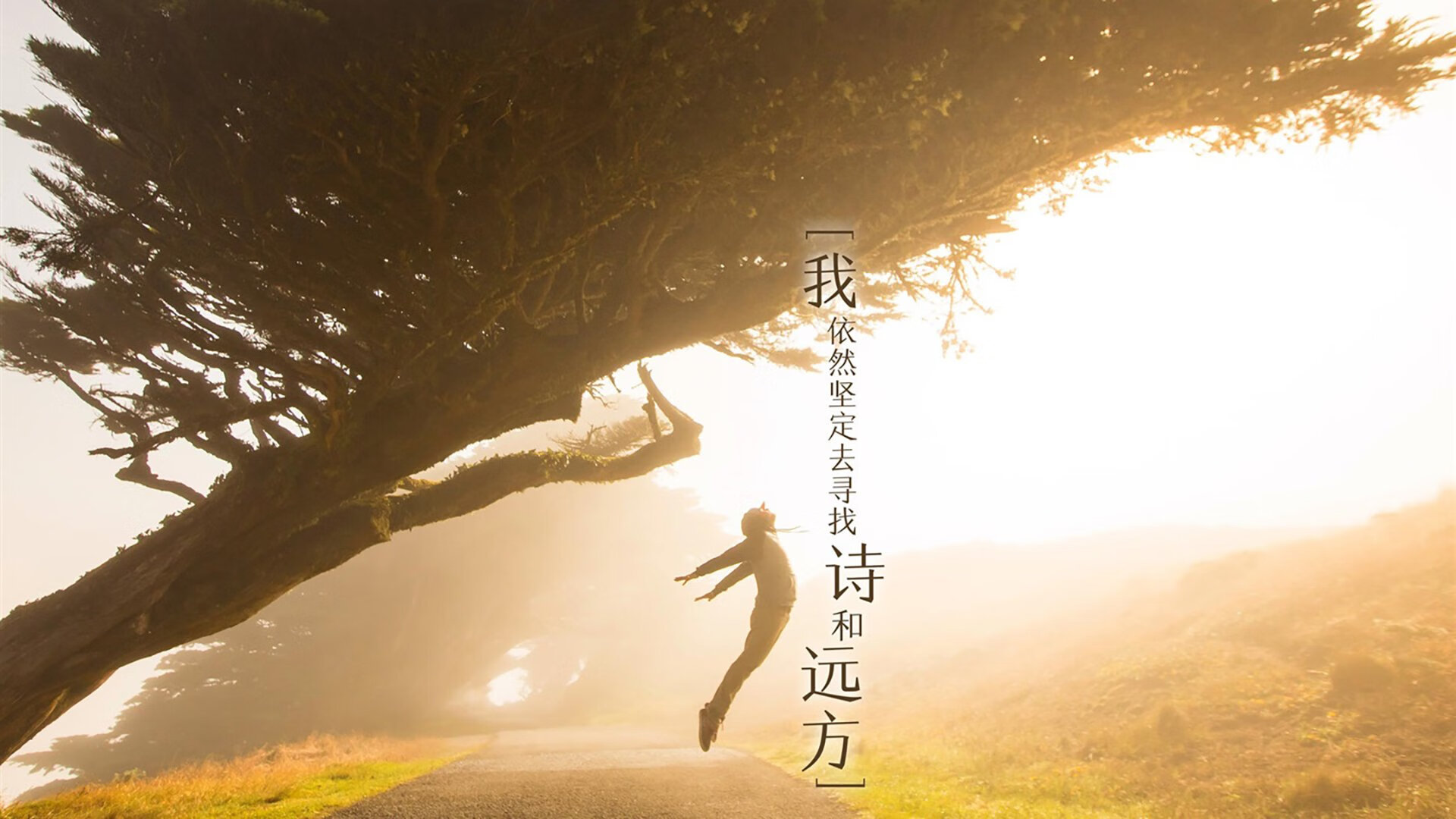 沙漠与群山之间的逆转,2026世界杯H组,斯洛伐克如何用钢铁意志完成对伊朗的致命一击