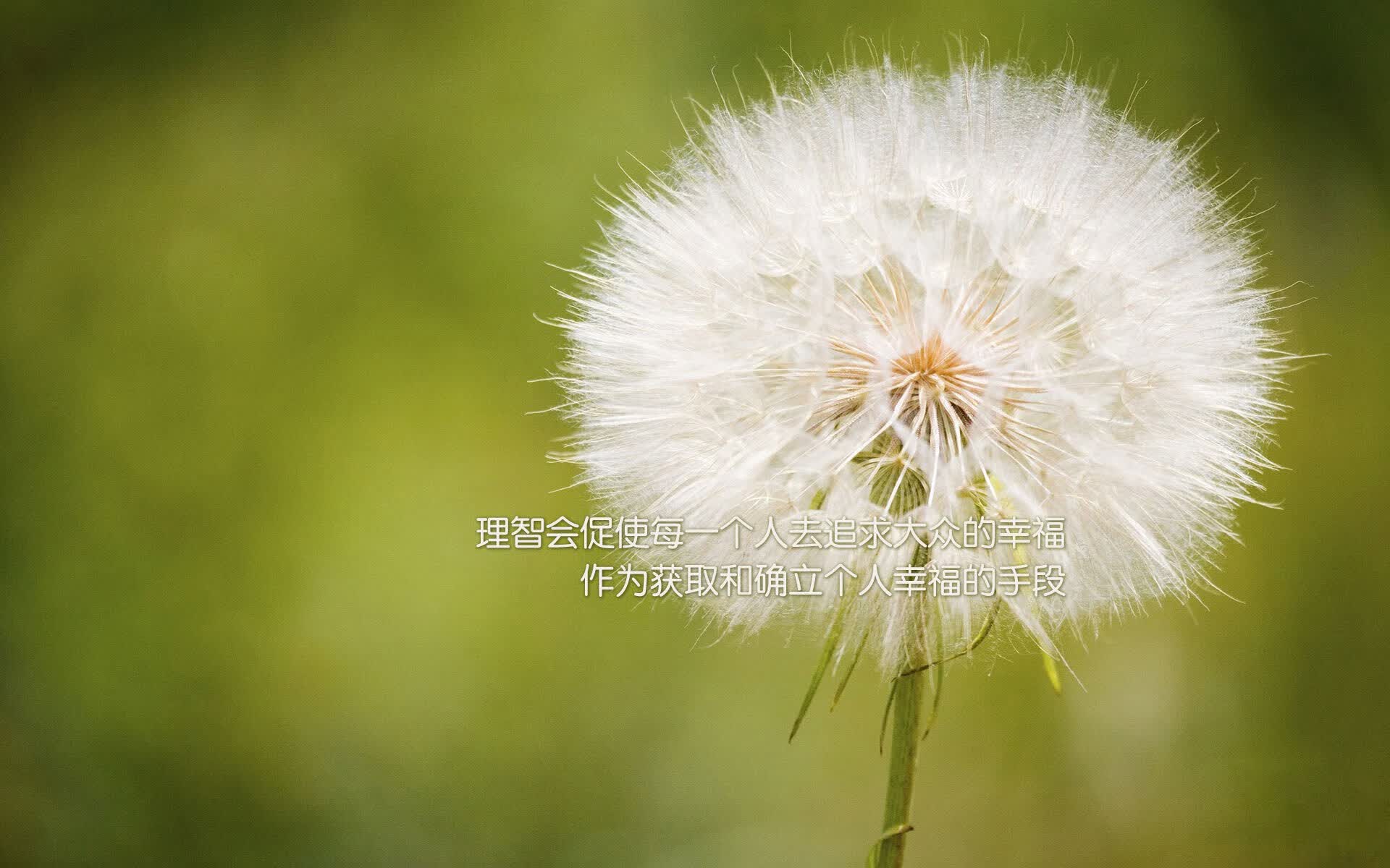 孤星照耀，迪亚斯与罗马尼亚在2026世界杯A组生死战中的唯一答案