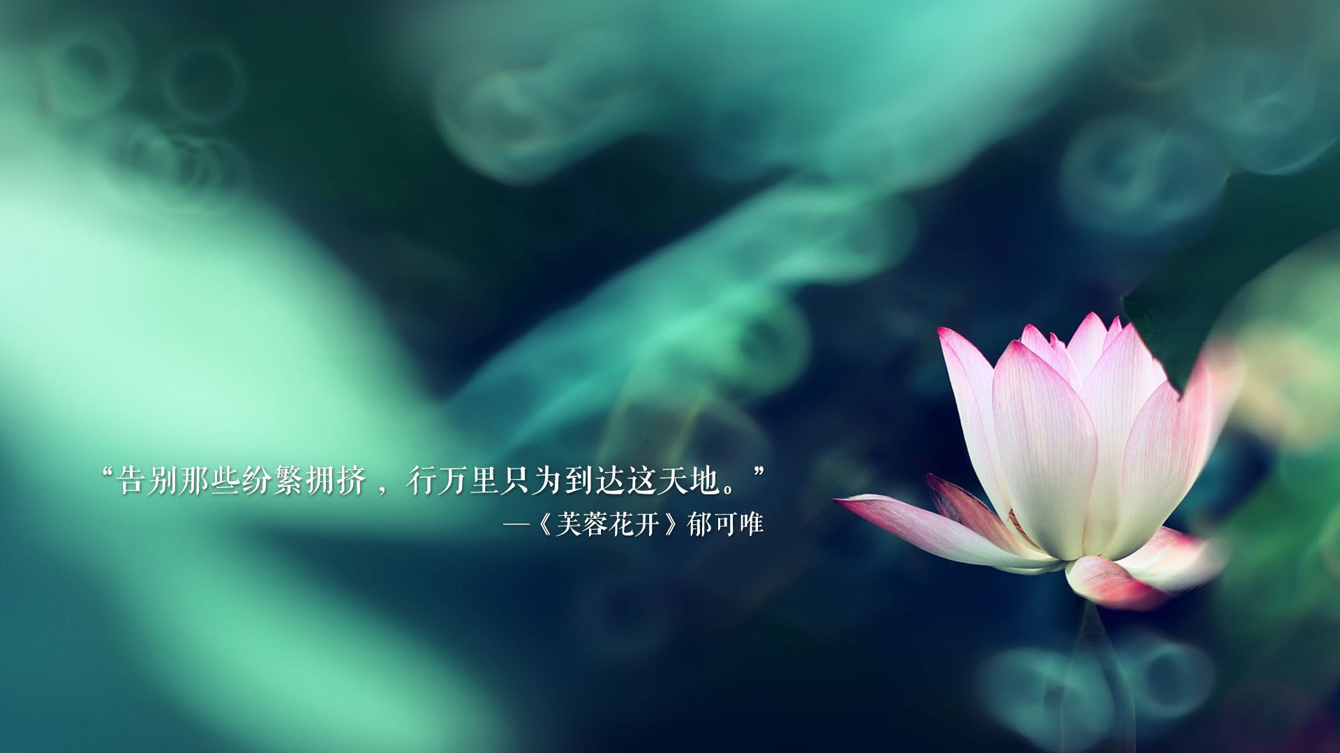 致命一击的独白，2026世界杯E组，加纳险胜波兰，奥斯梅恩铸就永恒之瞬