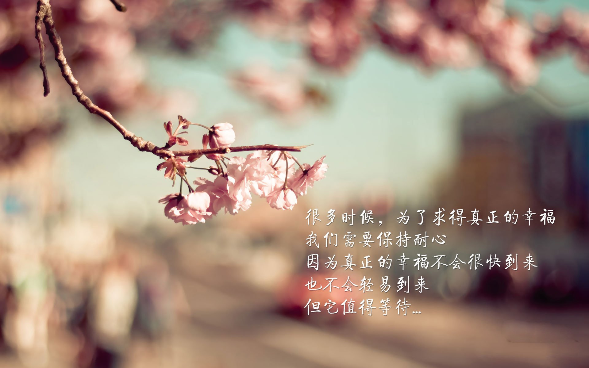 冰与火之歌,美加墨世界杯预演,芬兰逆转瑞典,齐耶赫的致命一击照亮北境